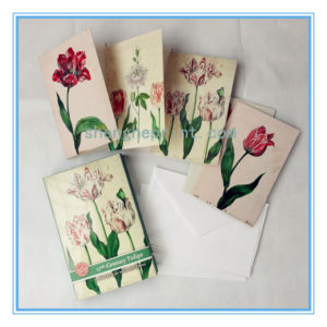 Greeting Cards with Envelopes for All Occasion