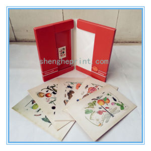 Floral Greeting Cards with Envelopes 10sets