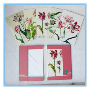 Tulip Greeting Cards with Envelopes 10sets