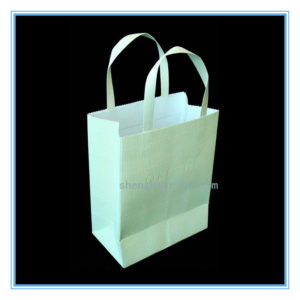 Shopping Bag with Paper Handle